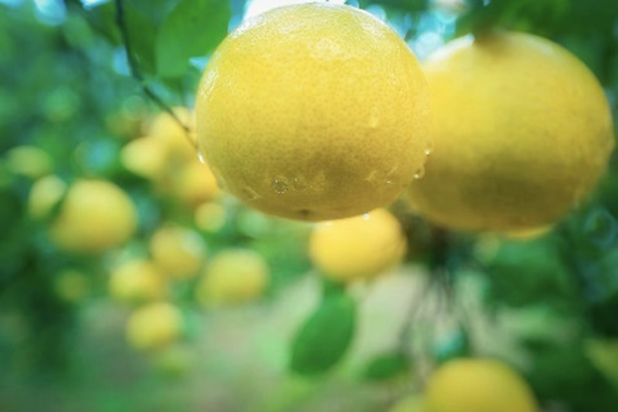 a2da682918d460ec70b0a665f5e7e79c.png